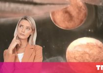 Los robots vivos programables pueden ayudar a curar el cáncer, pero ¿qué tan éticos son? 1